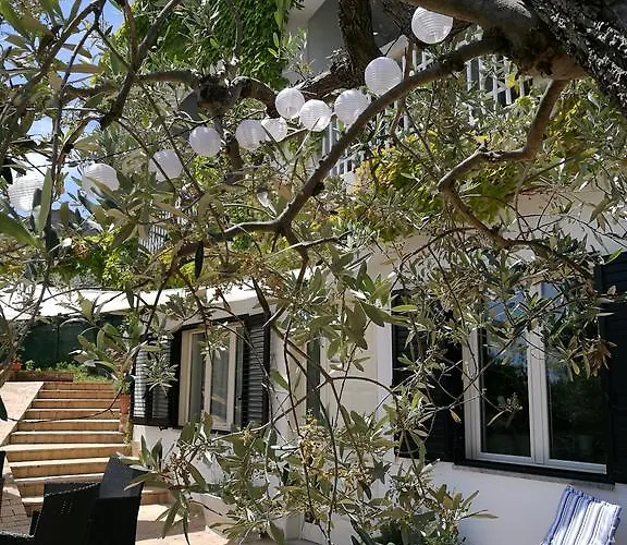 Rosaria Tatil Evi Vasto