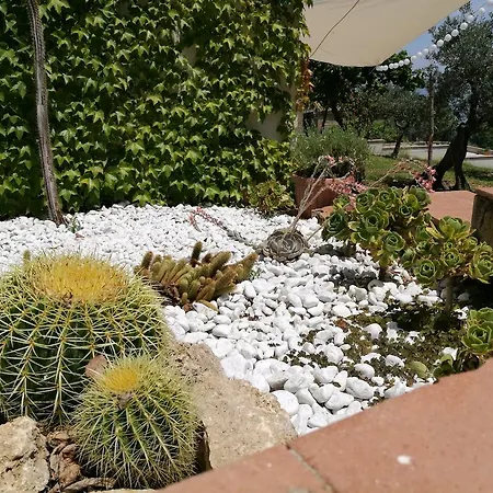 Rosaria Holiday home Vasto