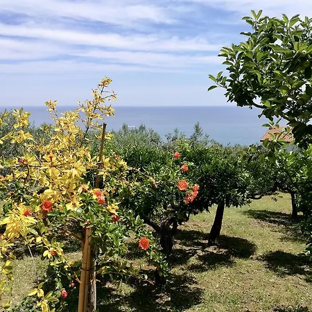 Rosaria Holiday home