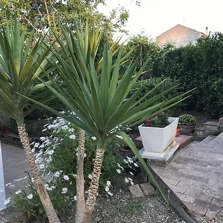 Rosaria * Vasto