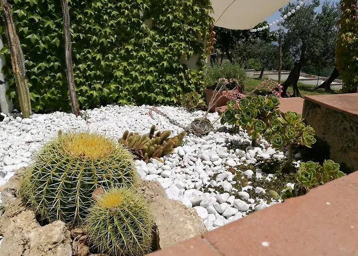 Rosaria Holiday home Vasto